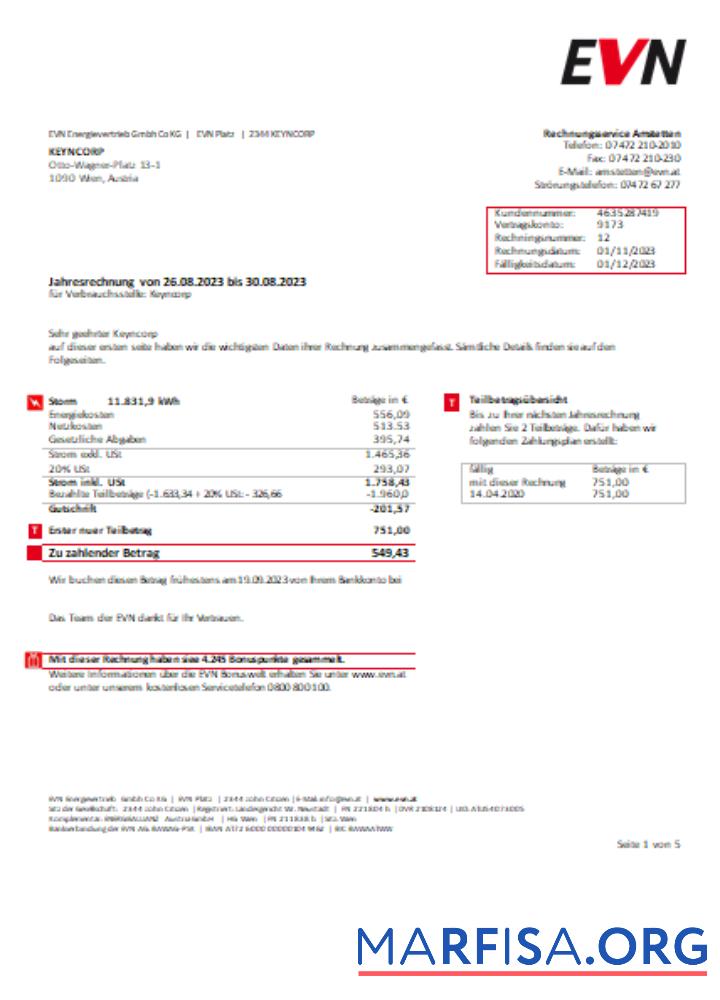 Printable EVN electricity utility business bill, page 1 SCR template
